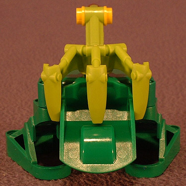 Back View