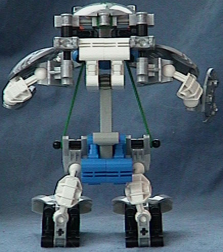Tall B-K Kaita Back