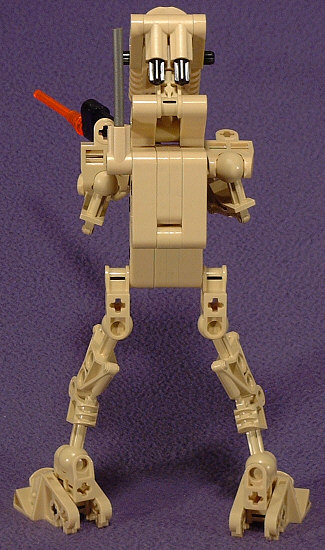 Back View