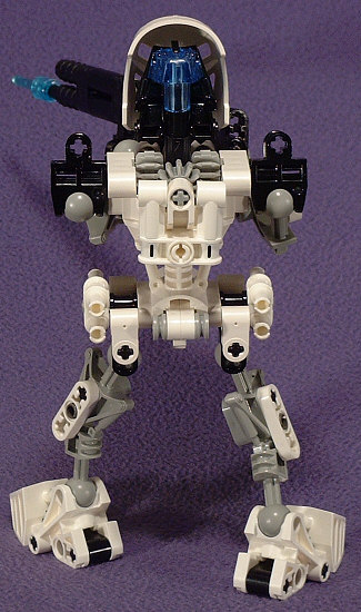Back View