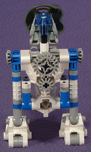 2-Leg Back View