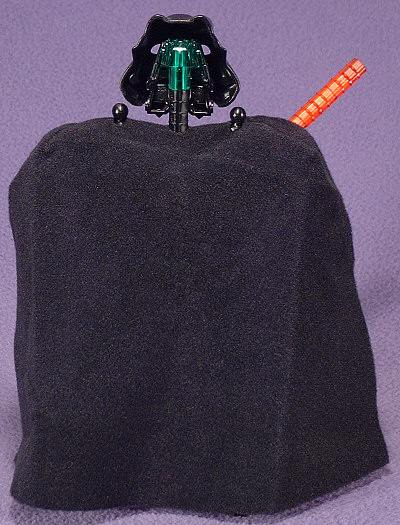 Back View