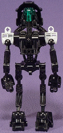 Back View