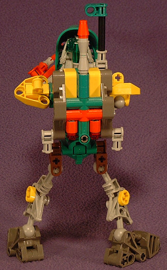 Back View