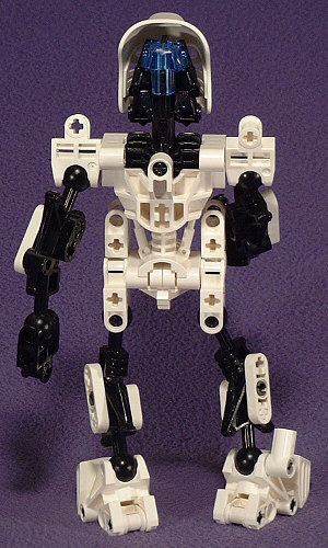 Back View