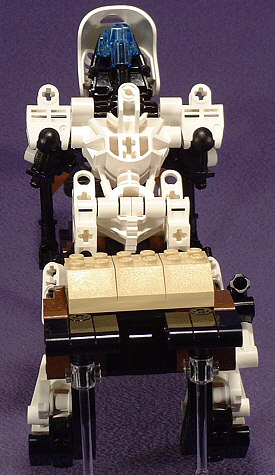 Back View