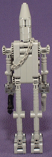 Back View