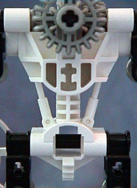 KOPAKA Back
