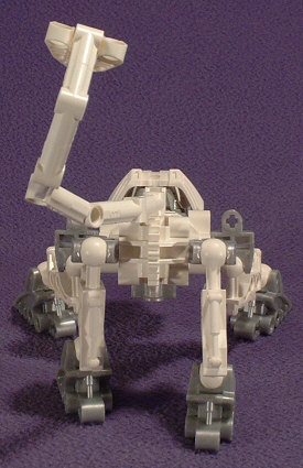 Back View