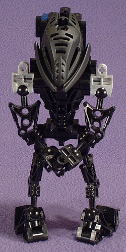 Back View