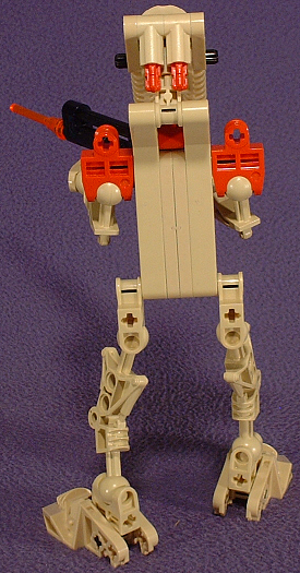 Back View