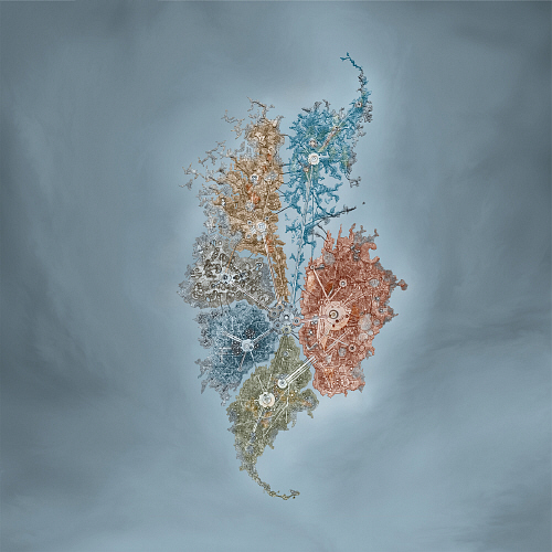 METRU NUI Island