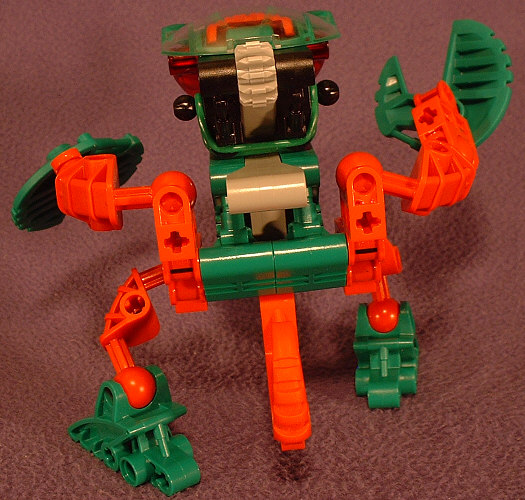 Back View