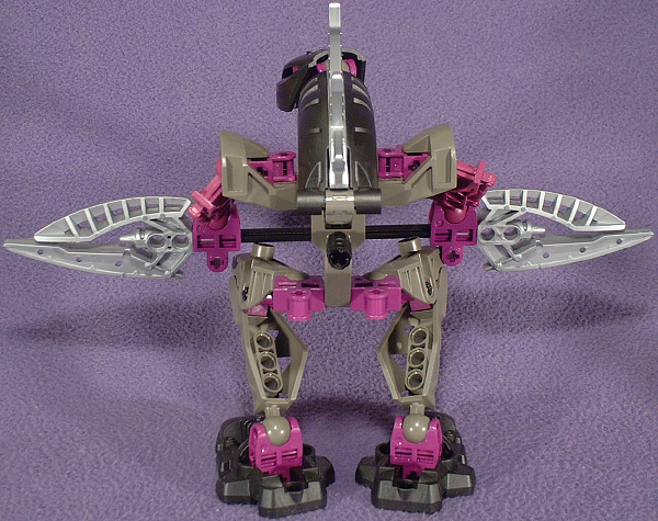 Back View