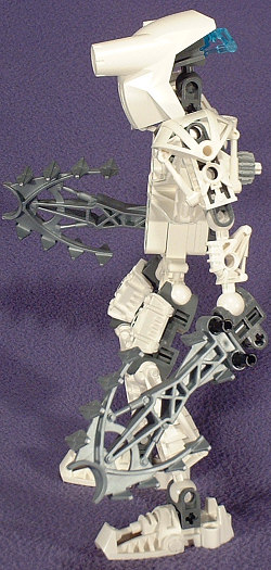 Left View