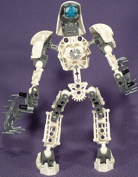 Back View