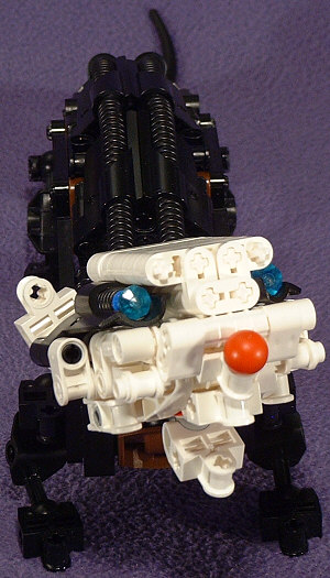 Front View