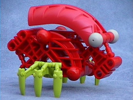 Snout-nosed Beetle