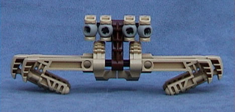 Four-eyed Sand Skimmer