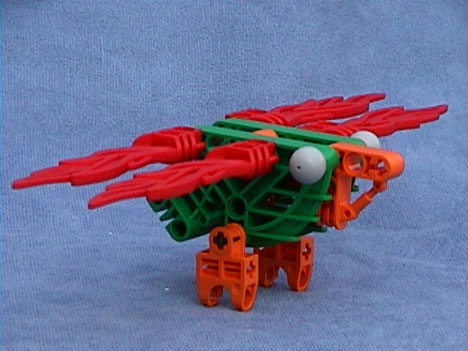 Flame-winged Hummingbird