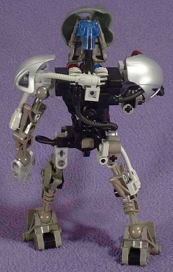 Back View