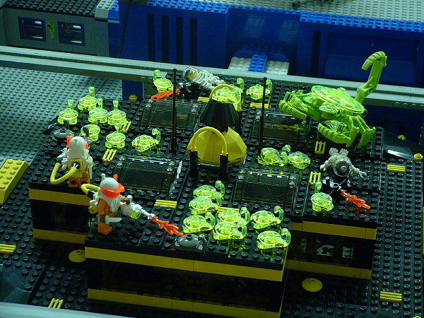 Fleebnork Infestation