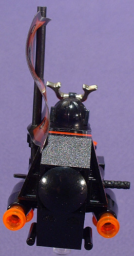Back View