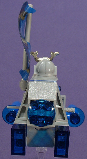 Back View