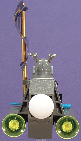 Back View