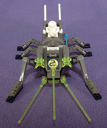 Back View