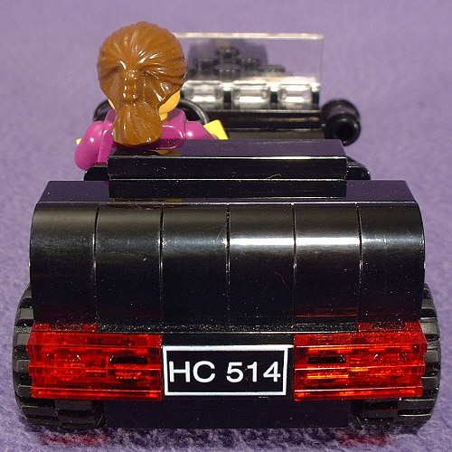 Back View