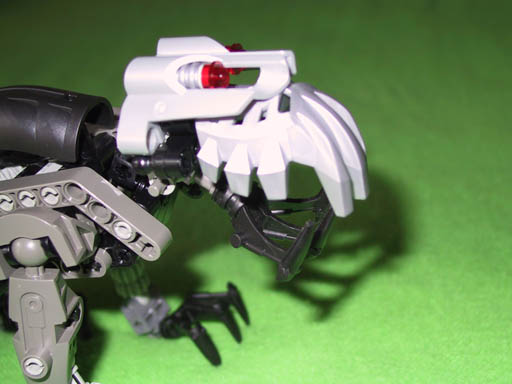 Head Close-up