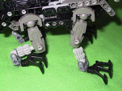 Legs Closeup
