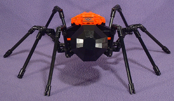 Back View