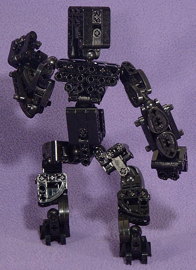 Back View