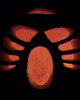 'HAU' Jack-O-Lantern By Mark Durham