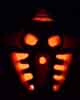 Pakari Pumpkin (Dark)