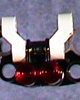 Bat Recreation Front