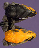 KRAATA Color Chart
