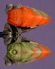 KRAATA Color Chart