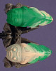 KRAATA Color Chart
