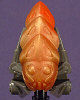 http://www.collectinghq.com/tn/0003258.jpg