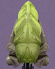 KRAATA Color Chart
