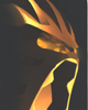 Back of RAHKSHI display banner