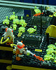 MichLUG at MCCC 05-04, Space Section