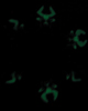 Ring of glowing VISORAK