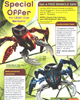 Back cover of 