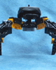 Back view of OOHNORAK