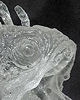 Acrylic Opee Sea Killer