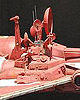 Republic Cruiser (Detail)